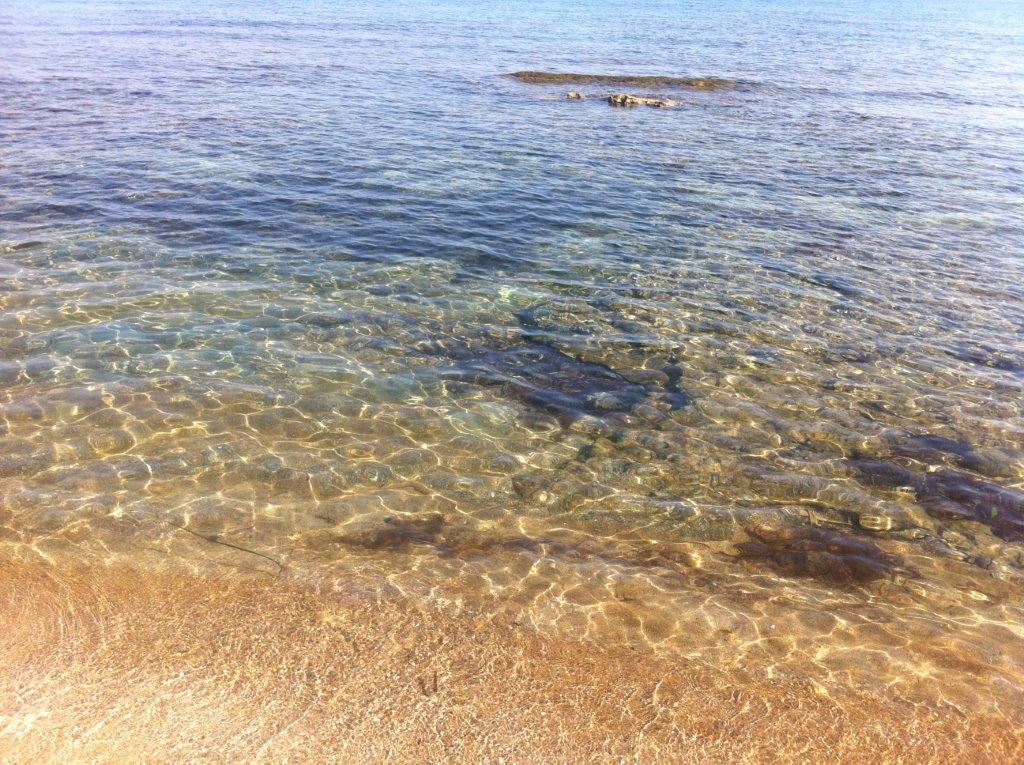 eau claire denia